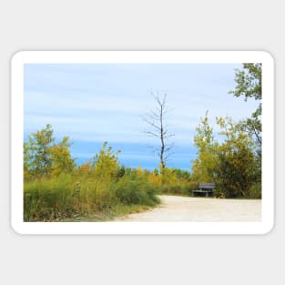 Nature Path No.1 Sticker